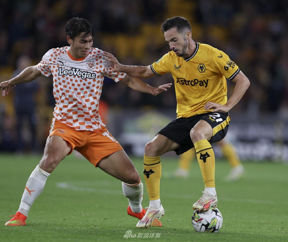 体对未来之 体对未来之